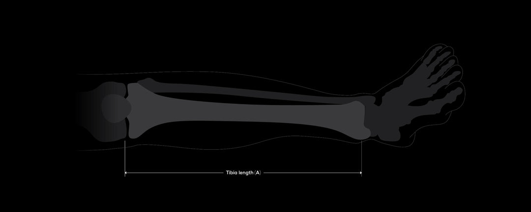 Crank Selection Guide – Race Face